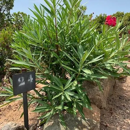 Maison Corallo Splendide Vue Porto-Vecchio