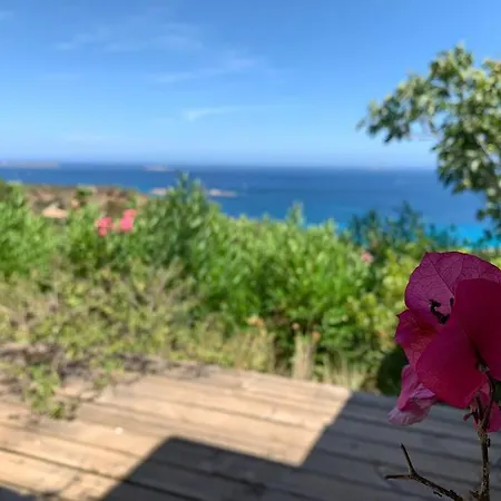 Maison Corallo Splendide Vue Πόρτο Βέκιο