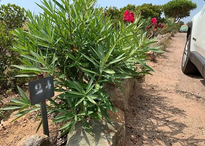 Tatil Evi Maison Corallo Splendide Vue Porto-Vecchio (Corsica)