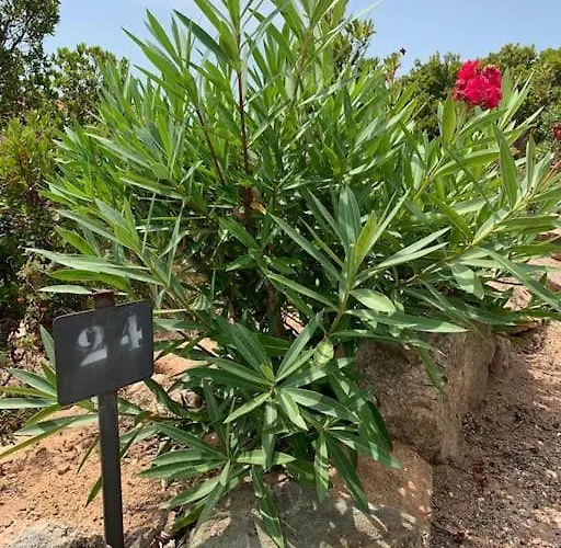 Maison Corallo Splendide Vue Porto-Vecchio (Corsica)