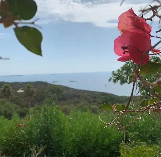 Semesterbostad Maison Corallo Splendide Vue *